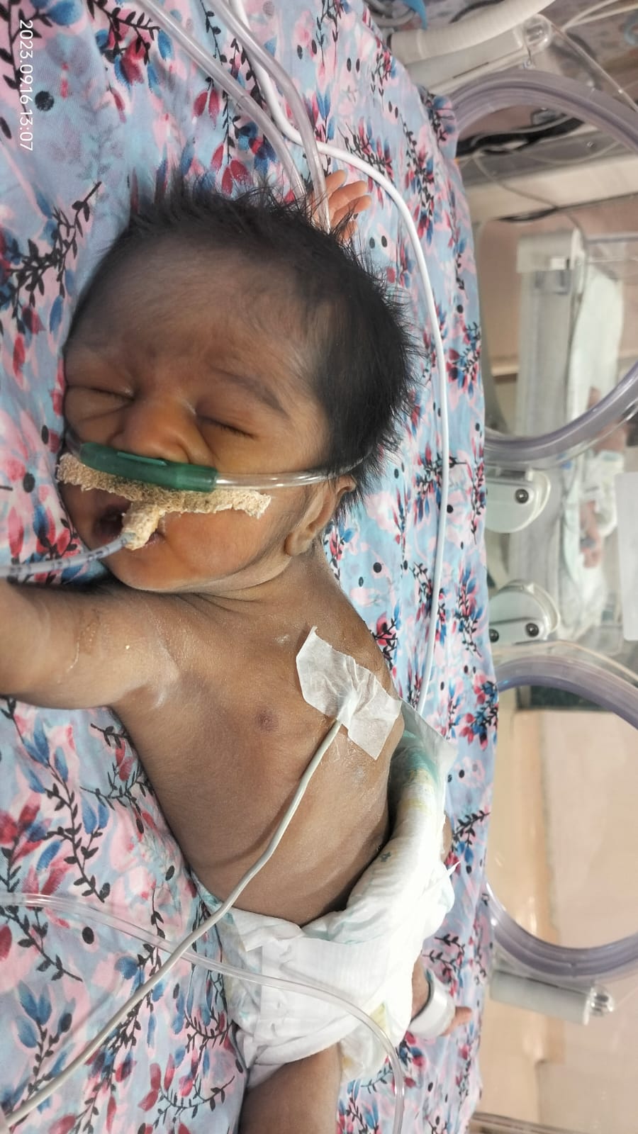 WhatsApp Image 2023 10 20 at 12 34 43 PM