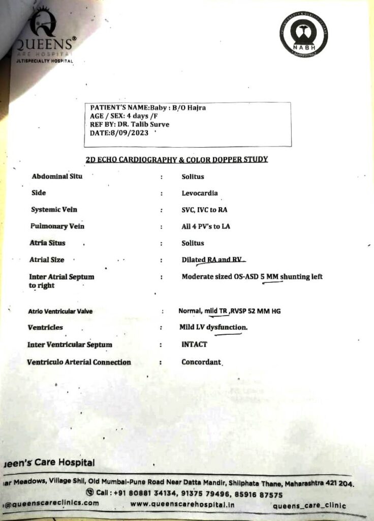 WhatsApp Image 2023 10 20 at 12 34 45 PM 736x1024