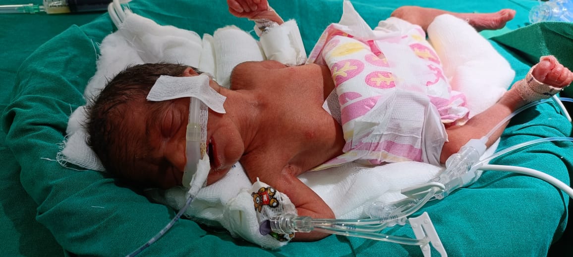 WhatsApp Image 2024 01 01 at 10 43 01 AM