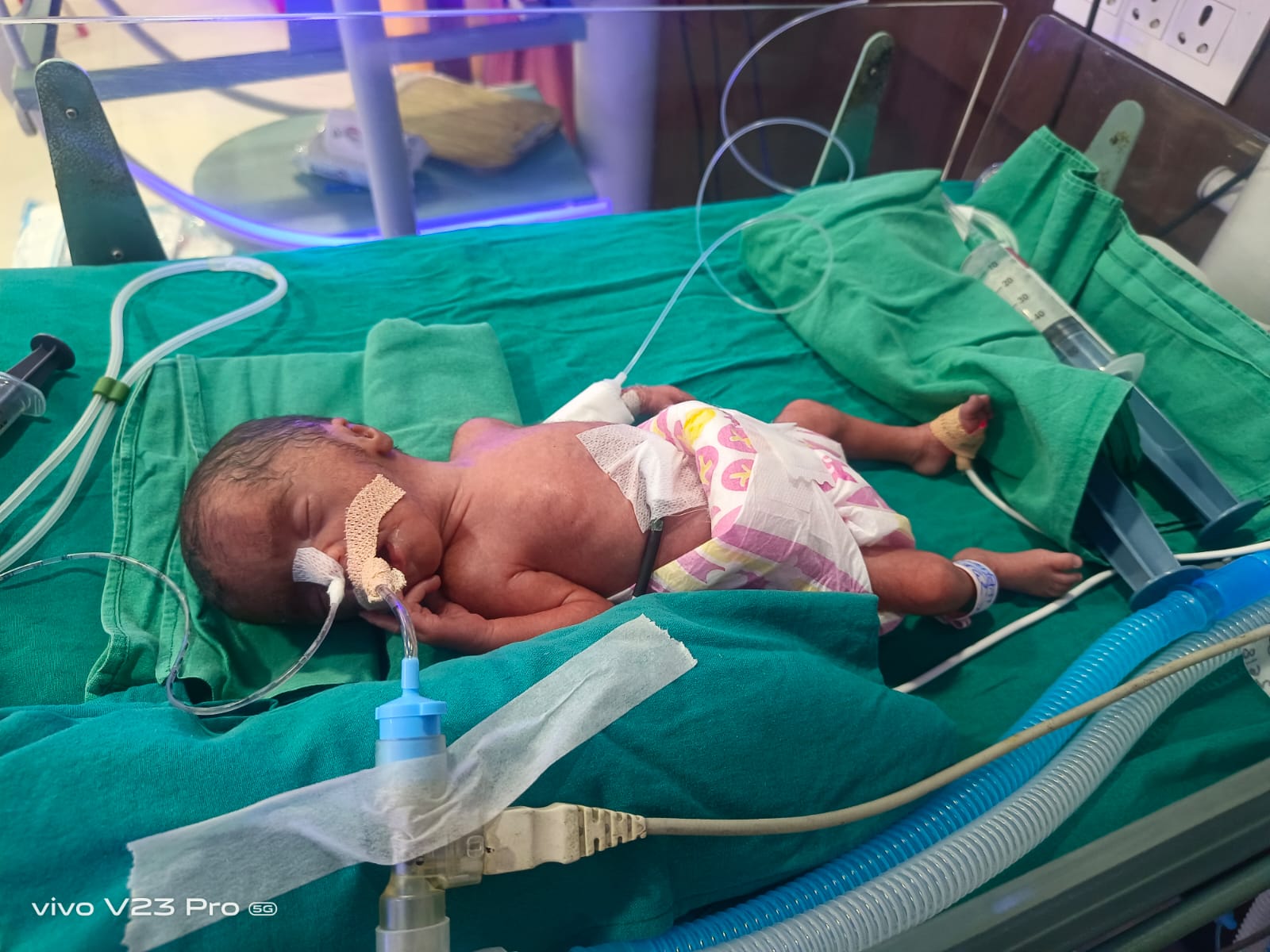 WhatsApp Image 2024 02 09 at 11 52 26 AM