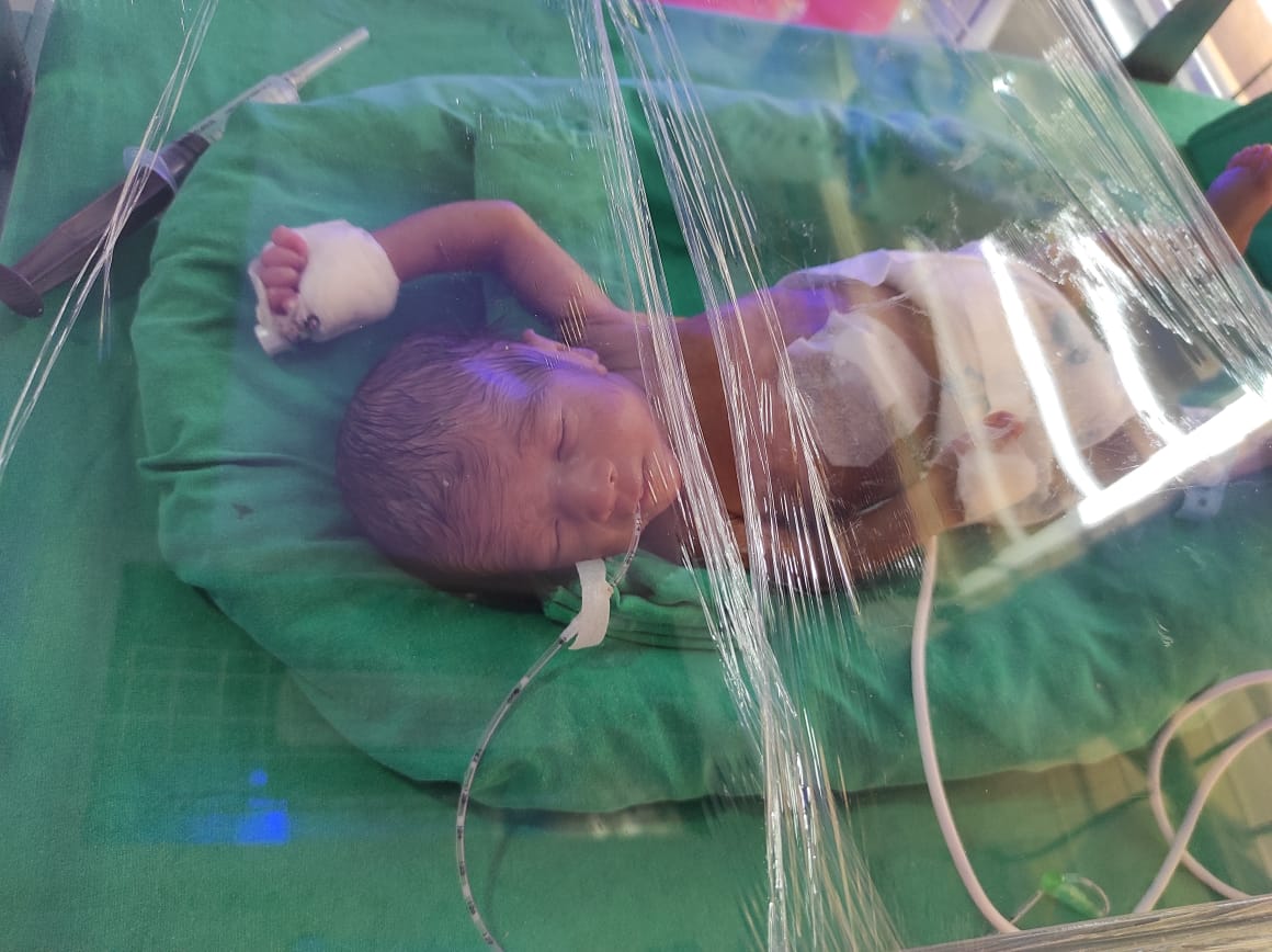 WhatsApp Image 2024 04 04 at 12 07 52 PM