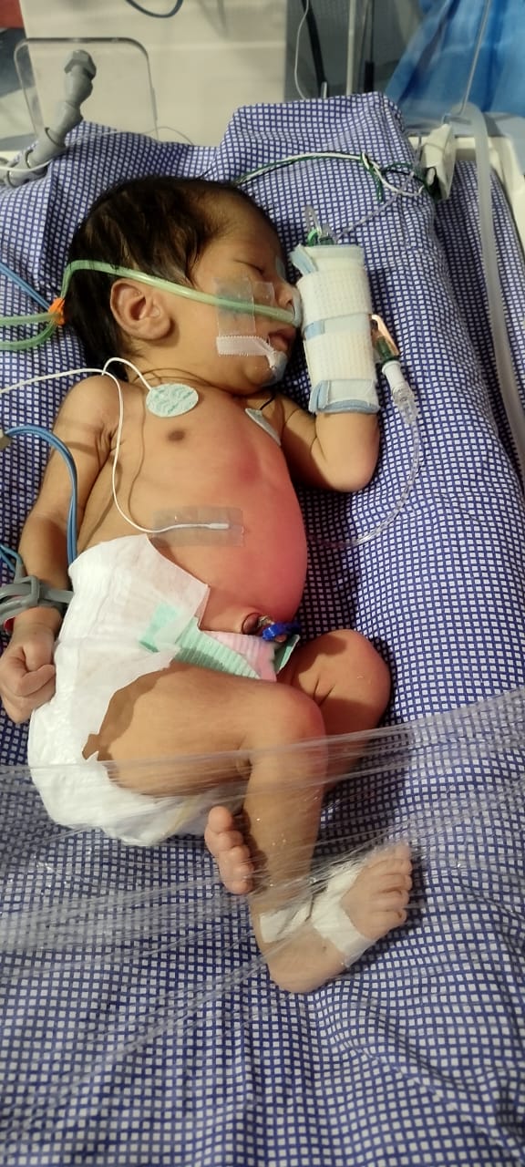 WhatsApp Image 2024 04 18 at 2 50 28 PM