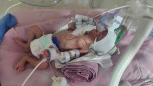 Aashalatha 3 300x169