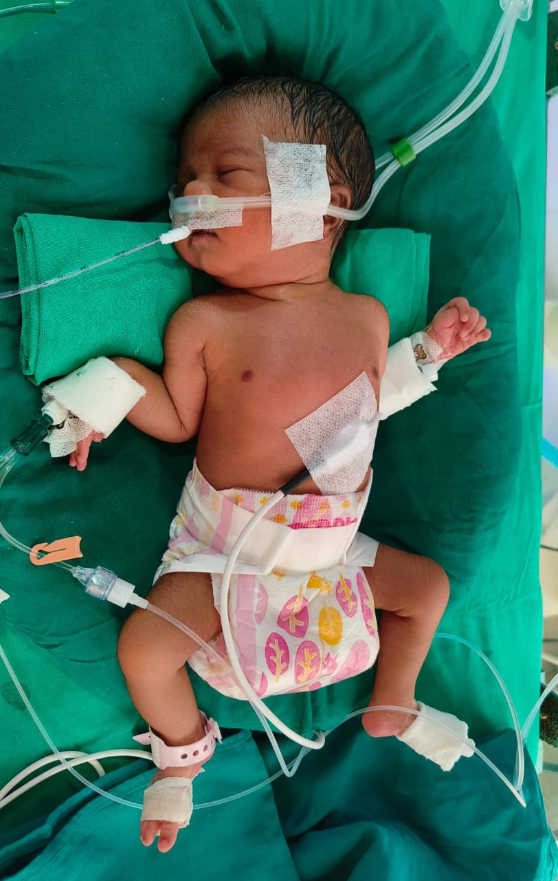 WhatsApp Image 2024 11 04 at 12 40 30 PM