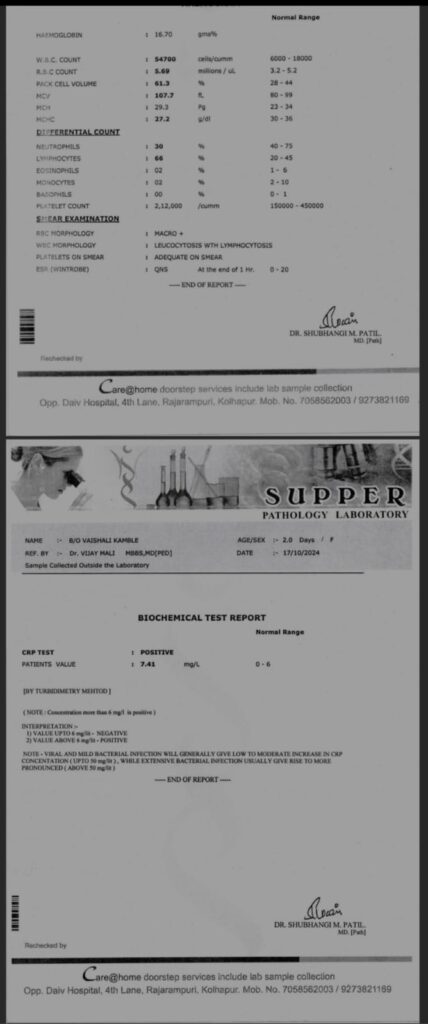 WhatsApp Image 2024 11 04 at 12 40 31 PM 2 428x1024