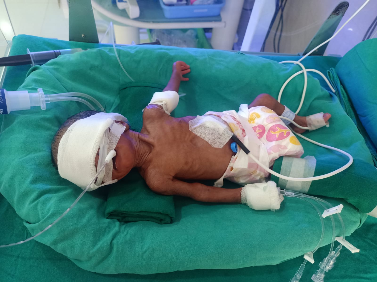 WhatsApp Image 2025 02 20 at 5 06 00 PM