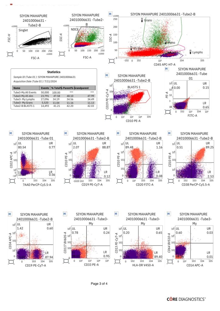 Mst  Suyon Sachin p3 724x1024