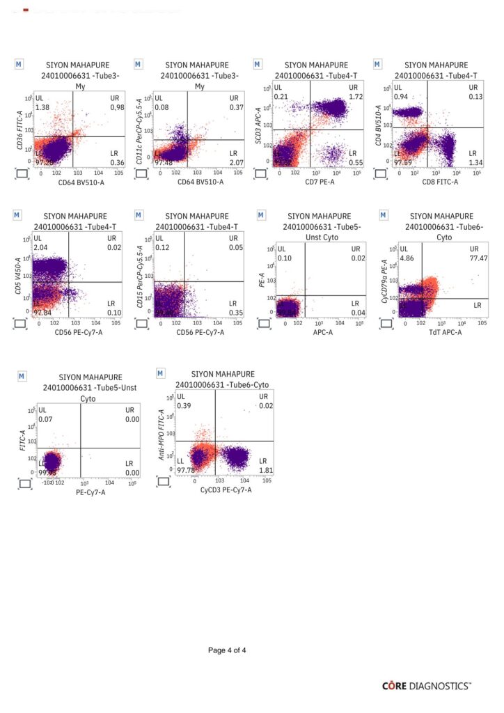 Mst  Suyon Sachin p4 724x1024