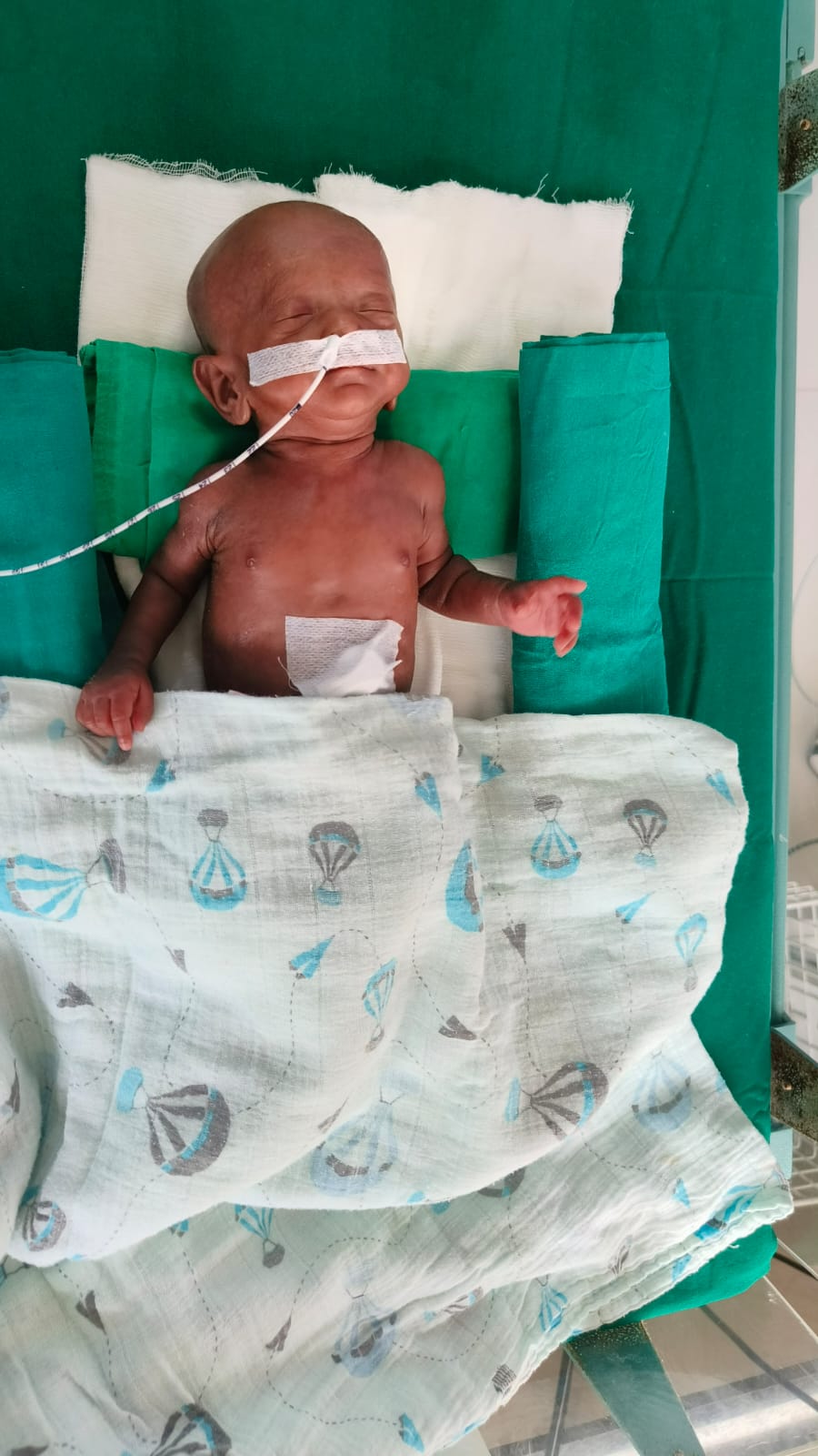 WhatsApp Image 2025 07 31 at 11 06 05 AM