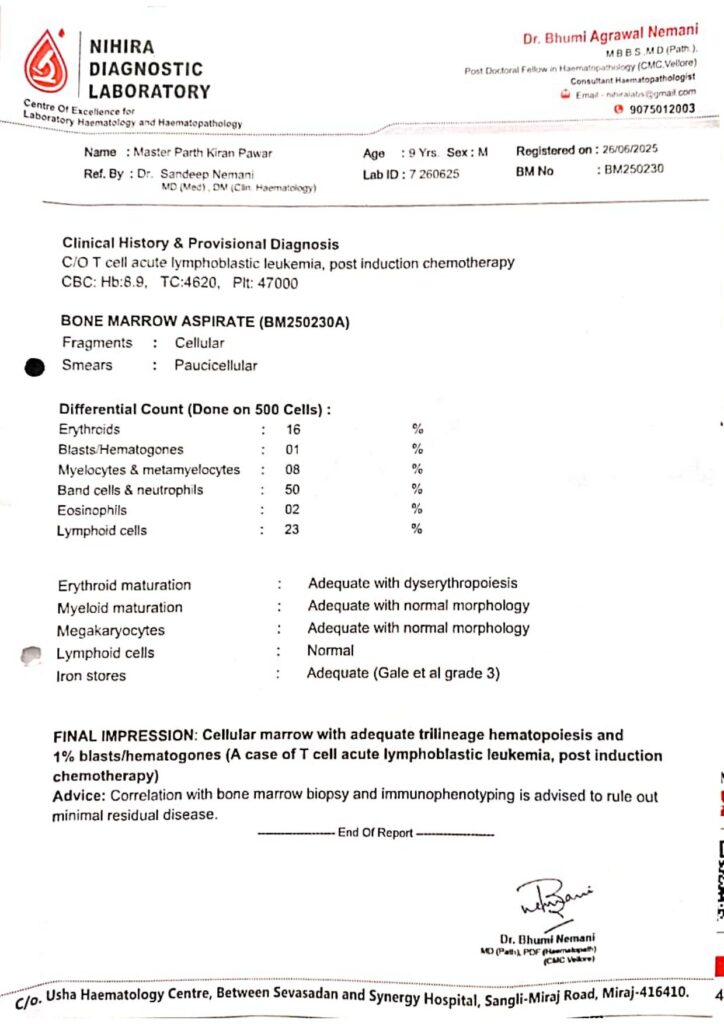 Parth Pawar 7 724x1024