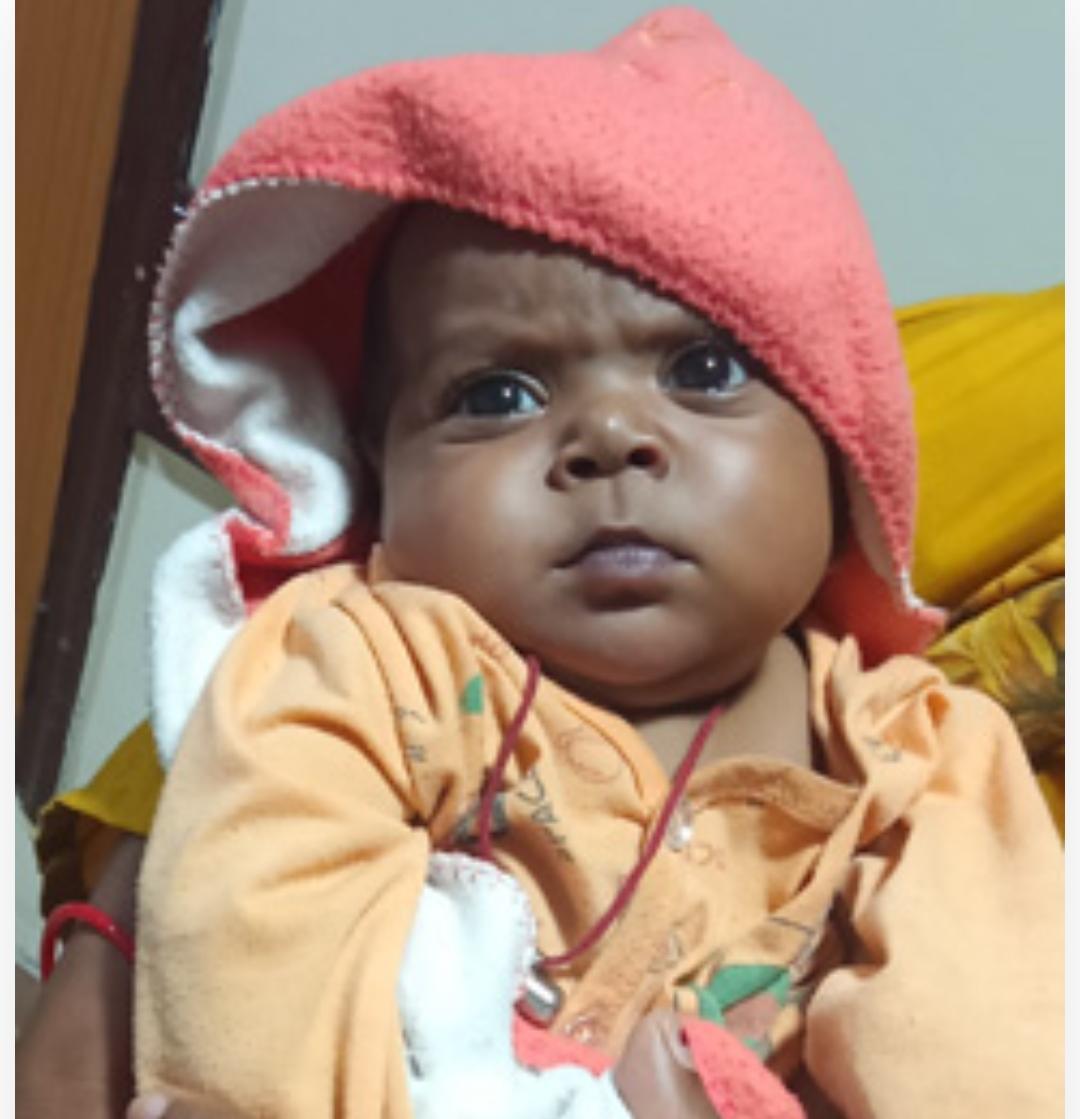 Ms  Vanshika Shailesh